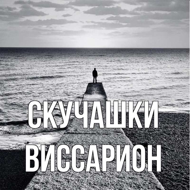 Картинка Скучашки, Виссарион