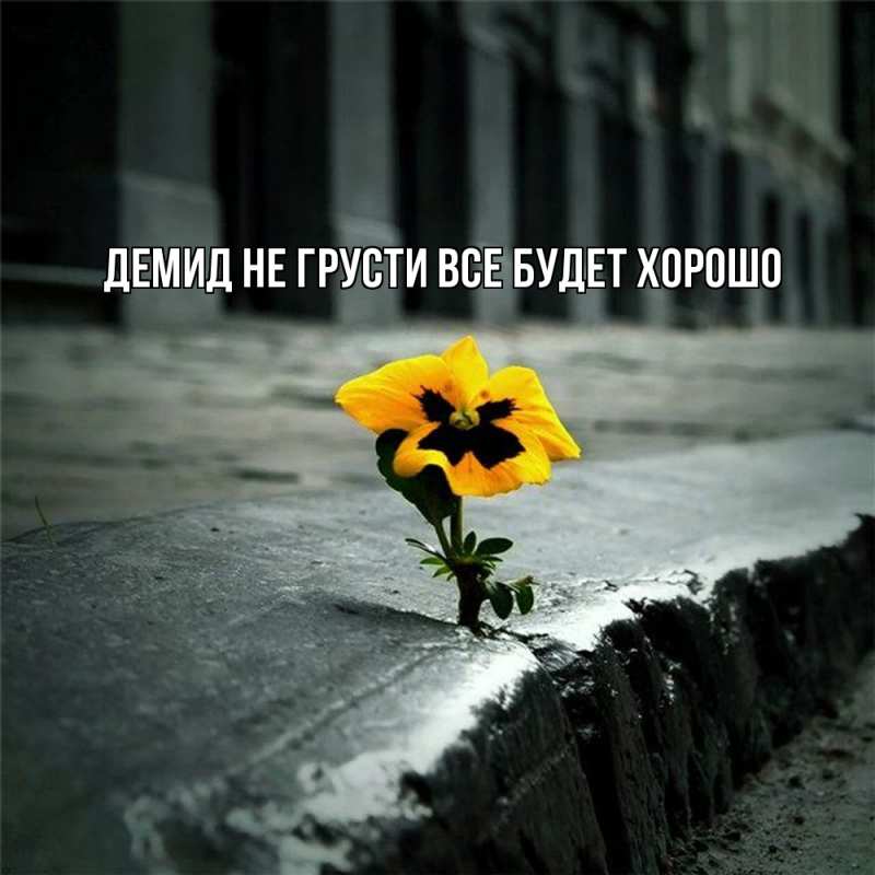 Картинка Не грусти, все будет хорошо, Демид
