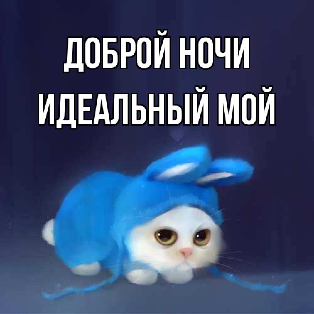 Открытка на каждый день с именем, Идеальный-мой Доброй ночи кот в голубом костюме кролика с ушками Прикольная открытка с пожеланием онлайн скачать бесплатно 