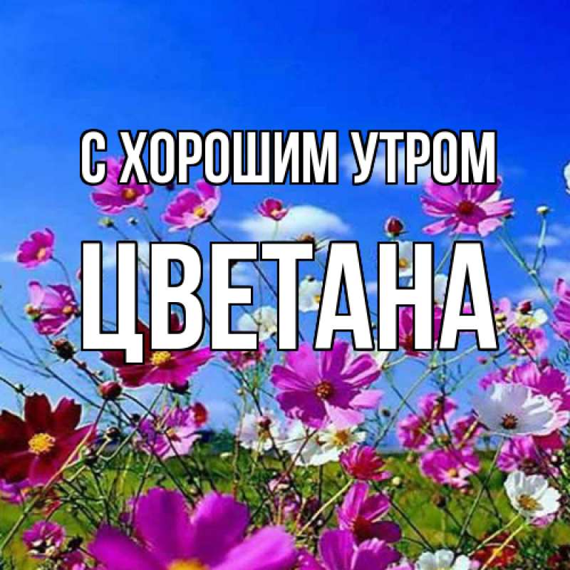 Картинка С хорошим утром, Цветана
