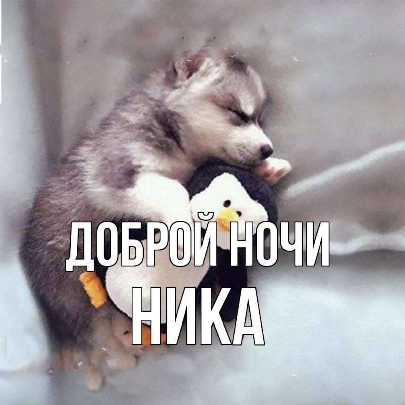 Картинка Доброй ночи, Ника