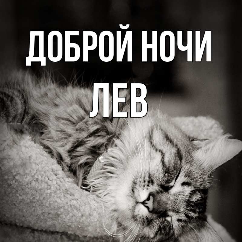 Картинка Доброй ночи, Лев