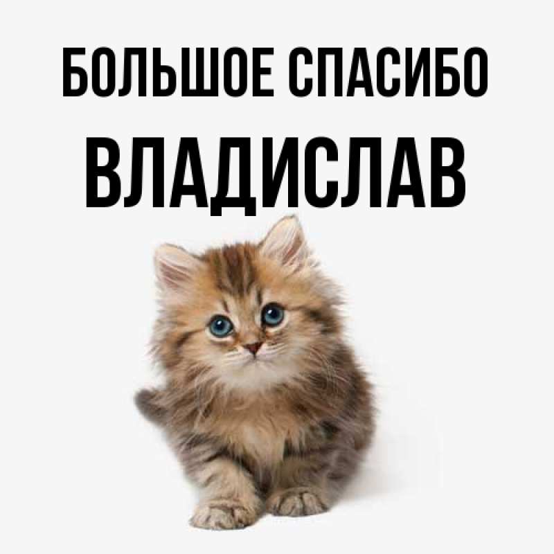 Картинка Большое спасибо, Владислав