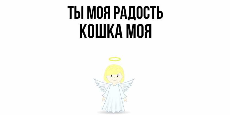 Картинка Ты моя радость, Кошка моя
