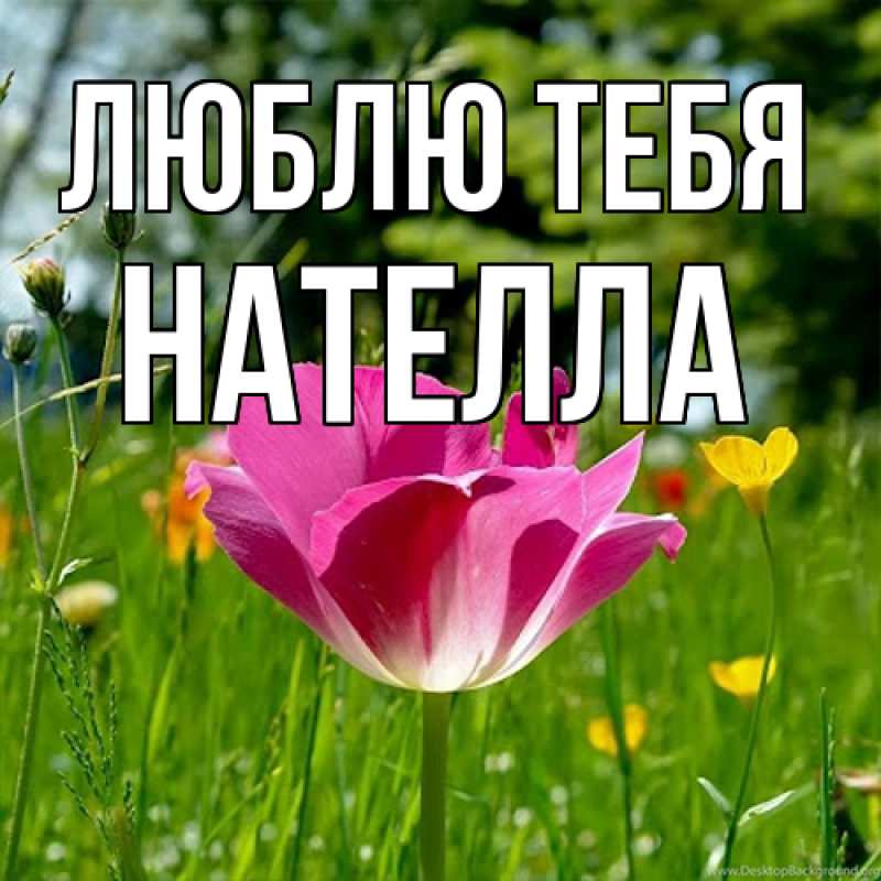 Картинка Люблю тебя, Нателла