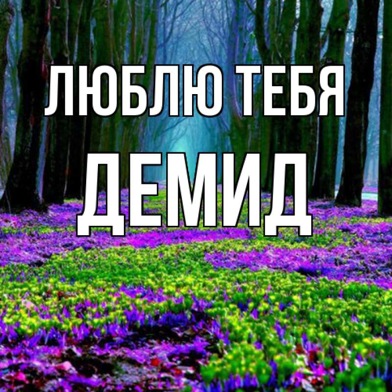 Картинка Люблю тебя, Демид