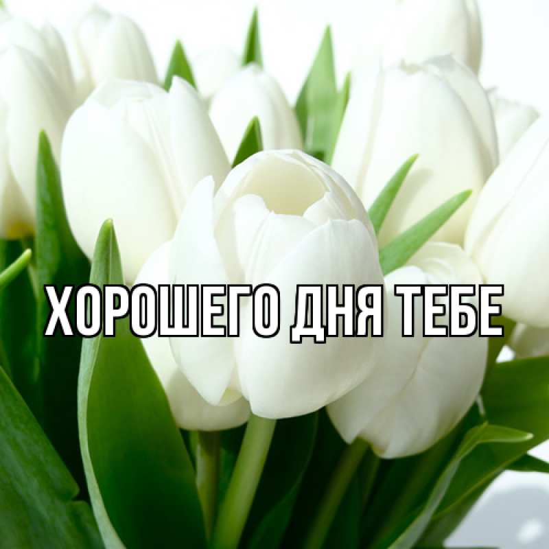 Открытка с именем, Исидор, Люблю тебя