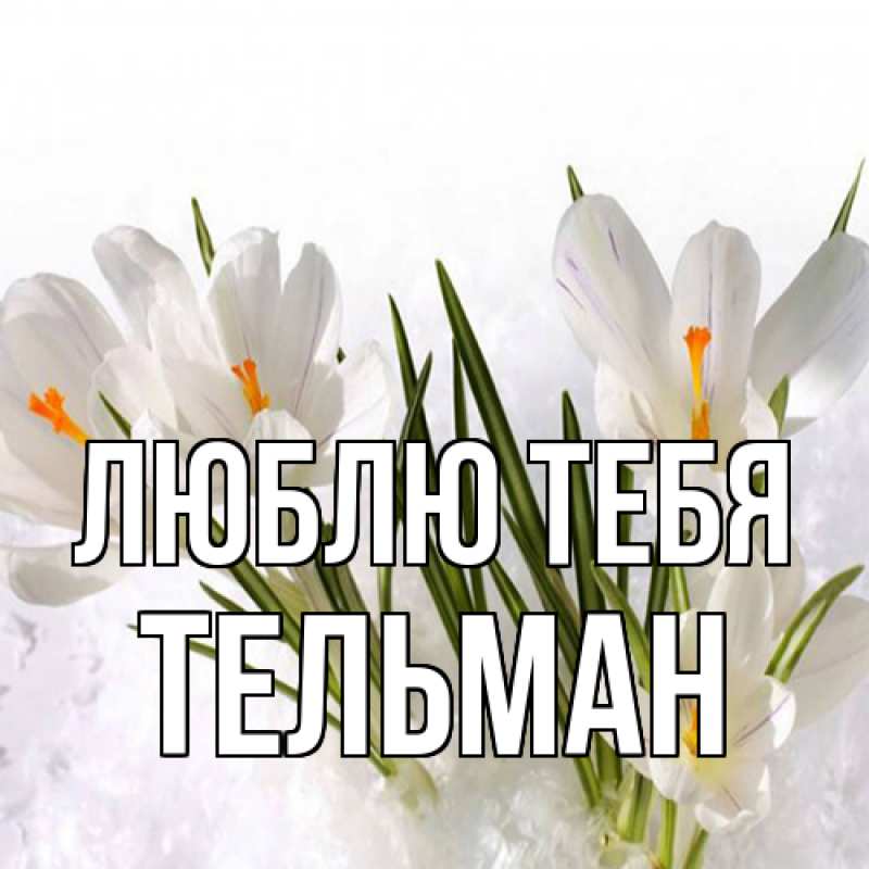 Картинка Люблю тебя, Тельман