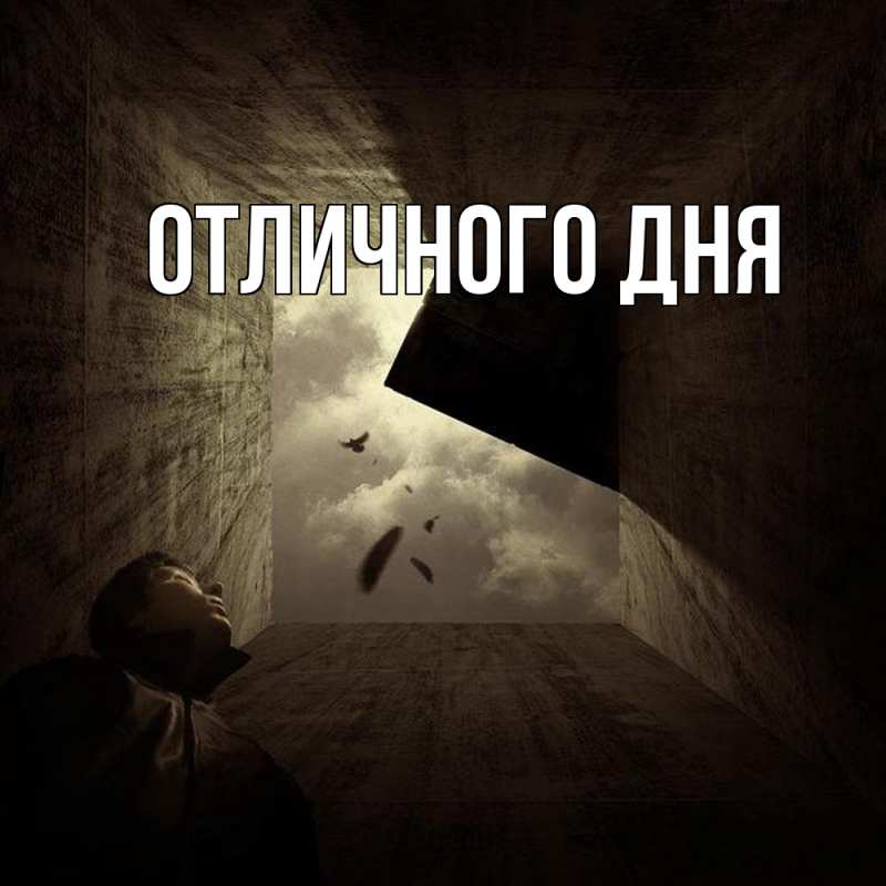 Картинка Скучашки, Дима