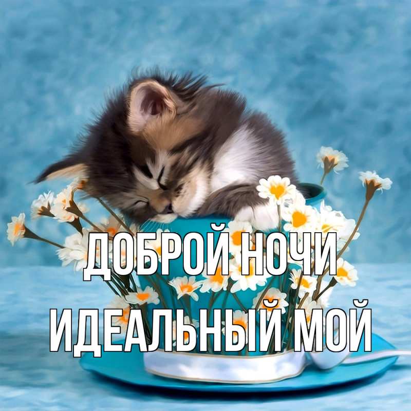 Картинка Доброй ночи, Идеальный мой