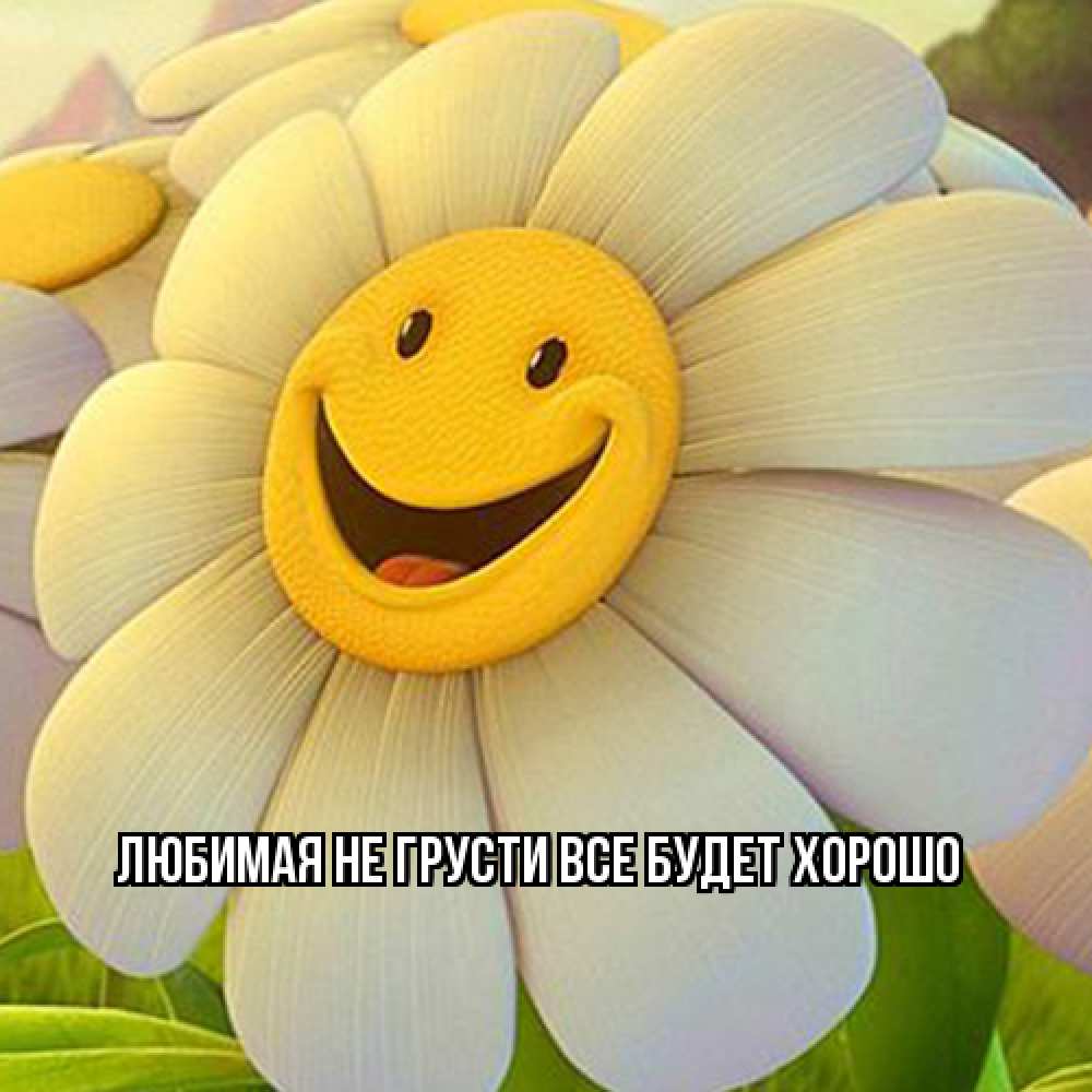 Открытка на каждый день с именем, Любимая Не грусти, все будет хорошо огромная улыбающаяся ромашуща Прикольная открытка с пожеланием онлайн скачать бесплатно 