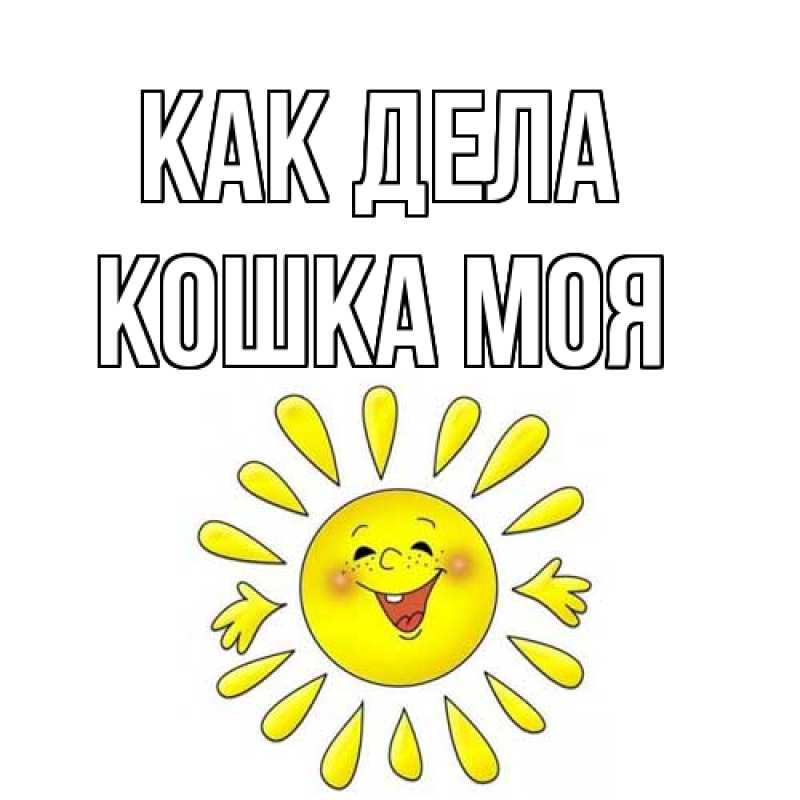 Картинка Как дела, Кошка моя