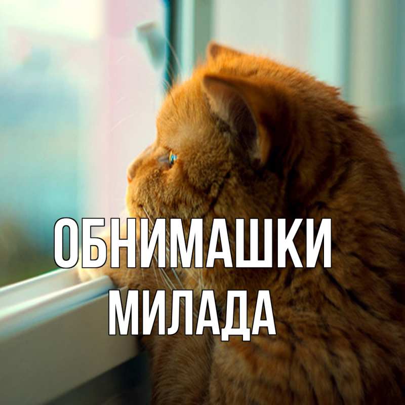 Картинка Обнимашки, Милада