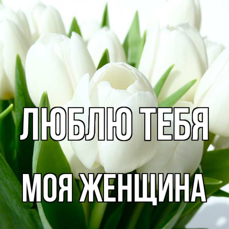 Картинка Люблю тебя, Моя женщина