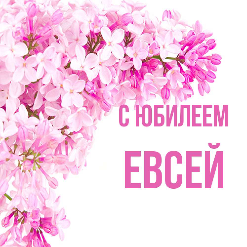 Открытка на каждый день с именем, Евсей C юбилеем Сирень на белом фоне Прикольная открытка с пожеланием онлайн скачать бесплатно 