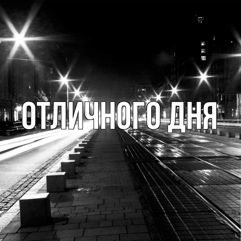 Открытка на каждый день с именем, Дима Скучашки проспект Прикольная открытка с пожеланием онлайн скачать бесплатно 