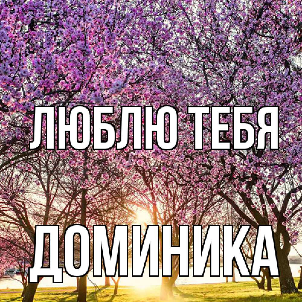 Открытка на каждый день с именем, Доминика Люблю тебя международный женский день Прикольная открытка с пожеланием онлайн скачать бесплатно 