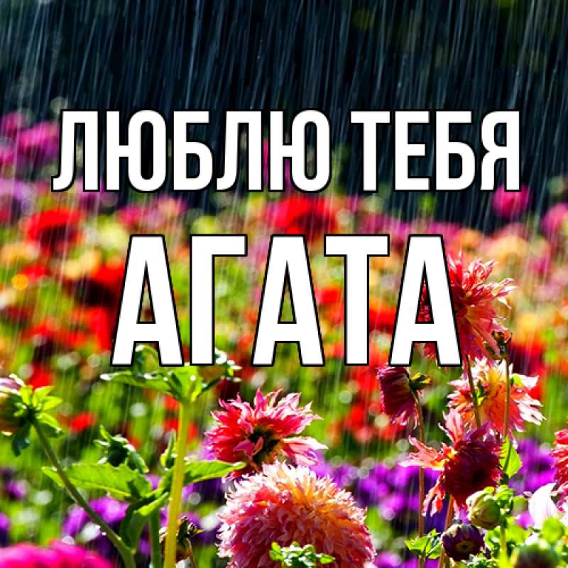 Картинка Люблю тебя, Агата