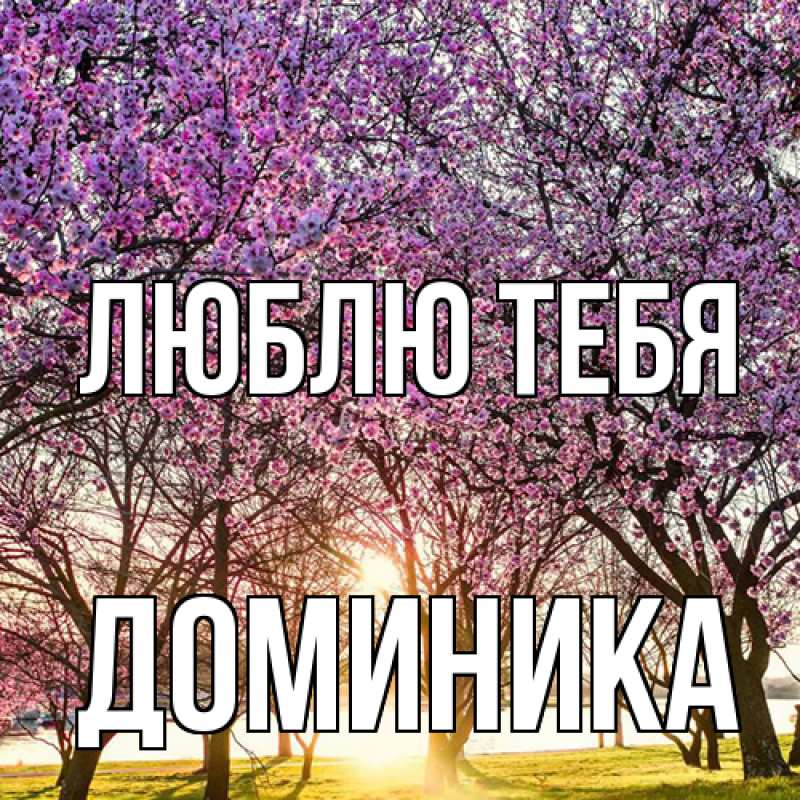 Картинка Люблю тебя, Доминика