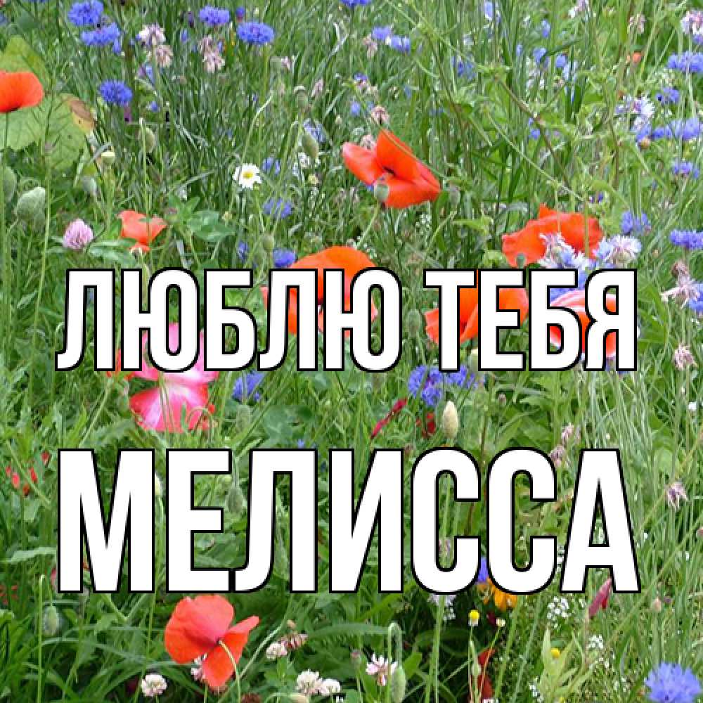 Открытка на каждый день с именем, Мелисса Люблю тебя международный женский день 4 Прикольная открытка с пожеланием онлайн скачать бесплатно 