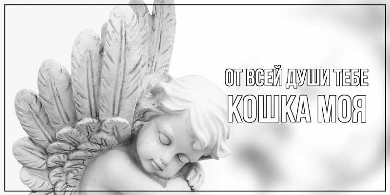 Картинка От всей души тебе, Кошка моя