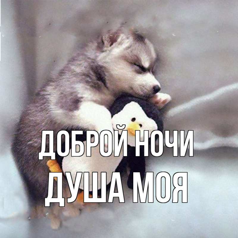 Картинка Доброй ночи, Душа моя