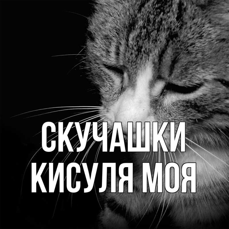 Открытка с именем, Кисуля моя, Скучашки