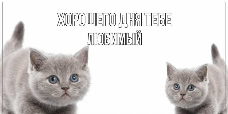 Открытка с именем, Любимый, Хорошего дня тебе