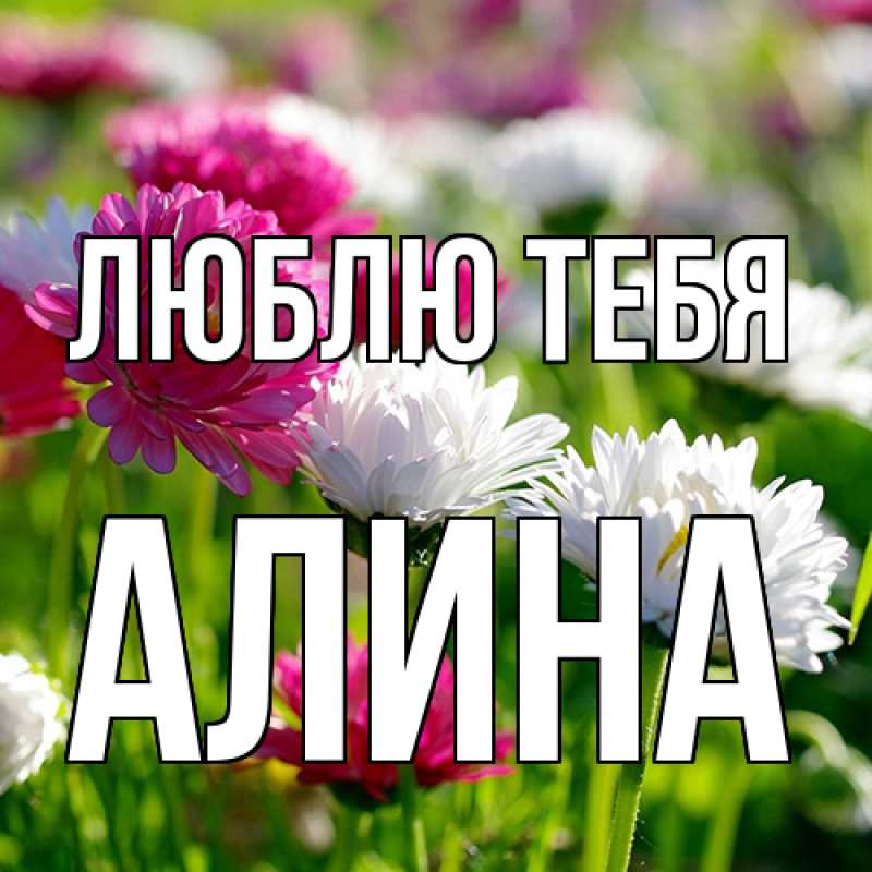 Картинка Люблю тебя, Алина