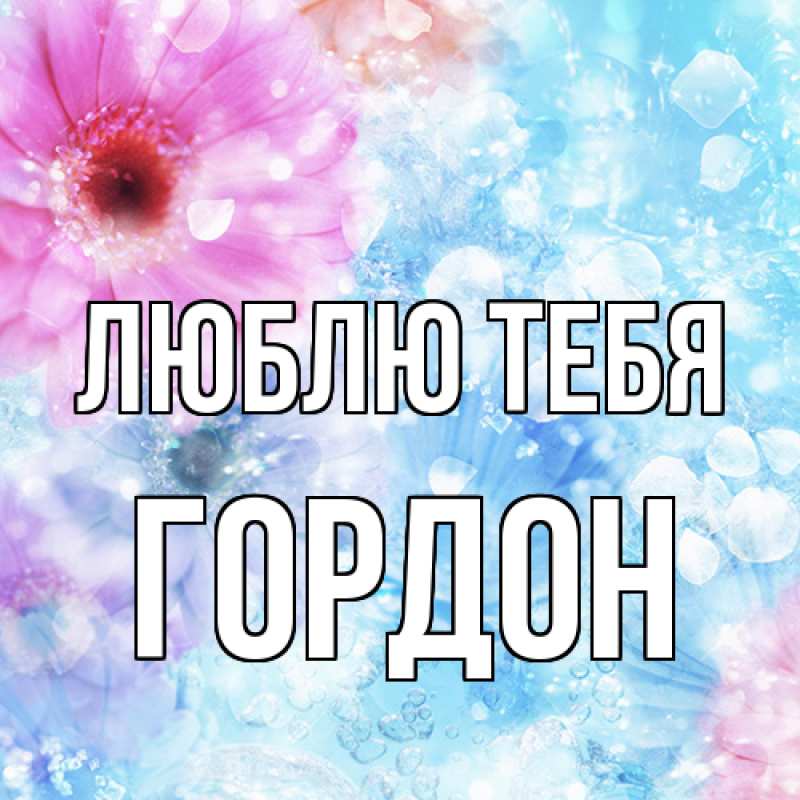 Картинка Люблю тебя, Гордон