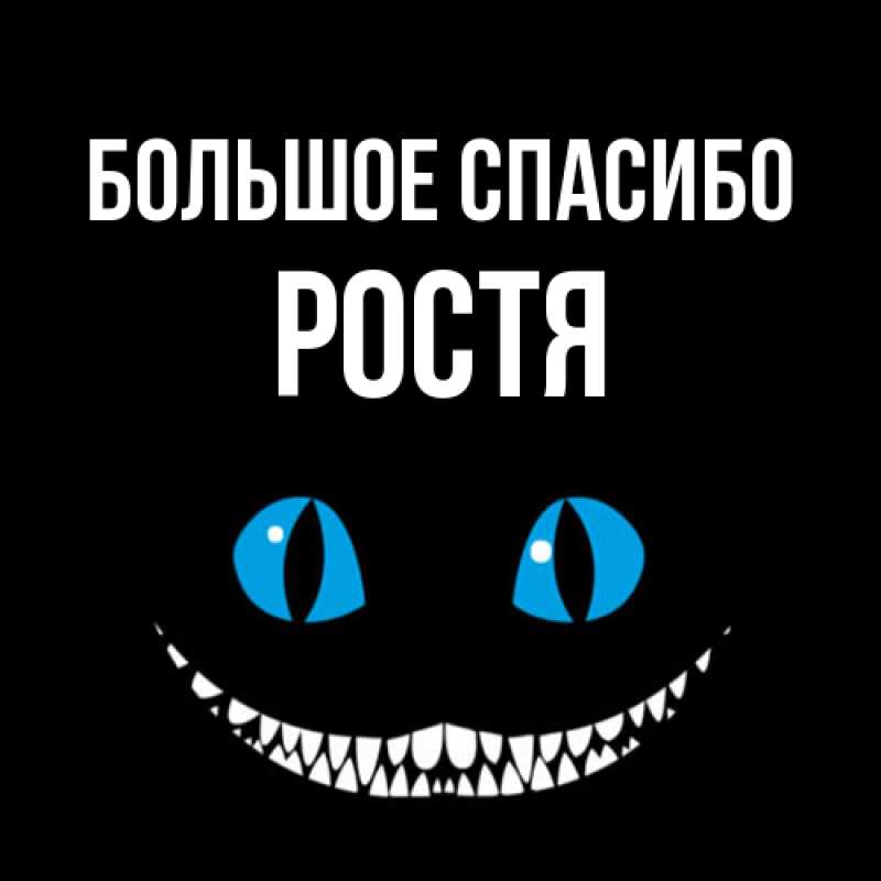 Картинка Большое спасибо, Ростя