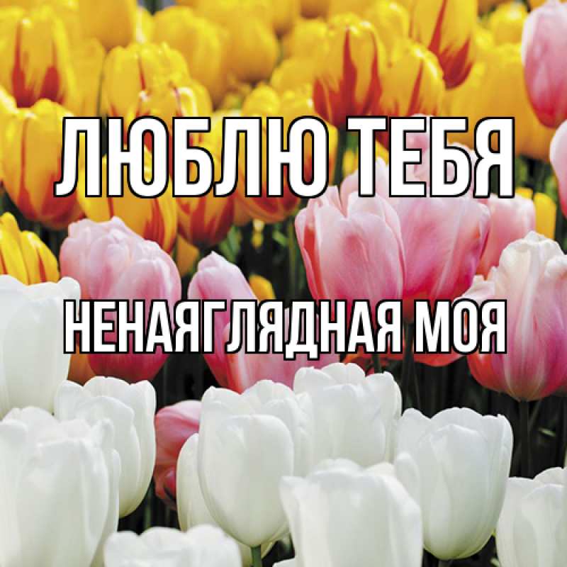 Картинка Люблю тебя, Ненаяглядная моя