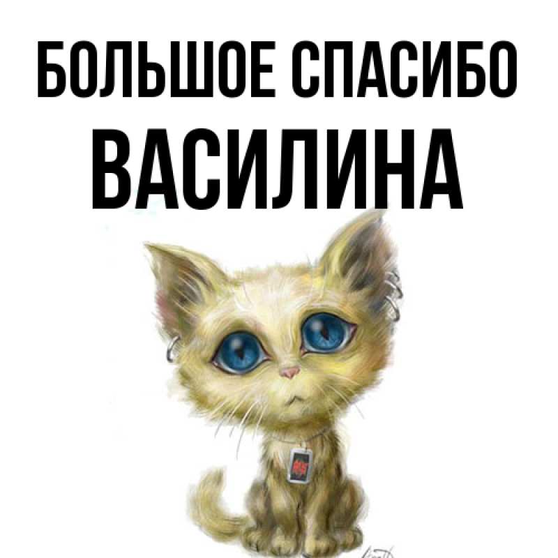 Картинка Большое спасибо, Василина