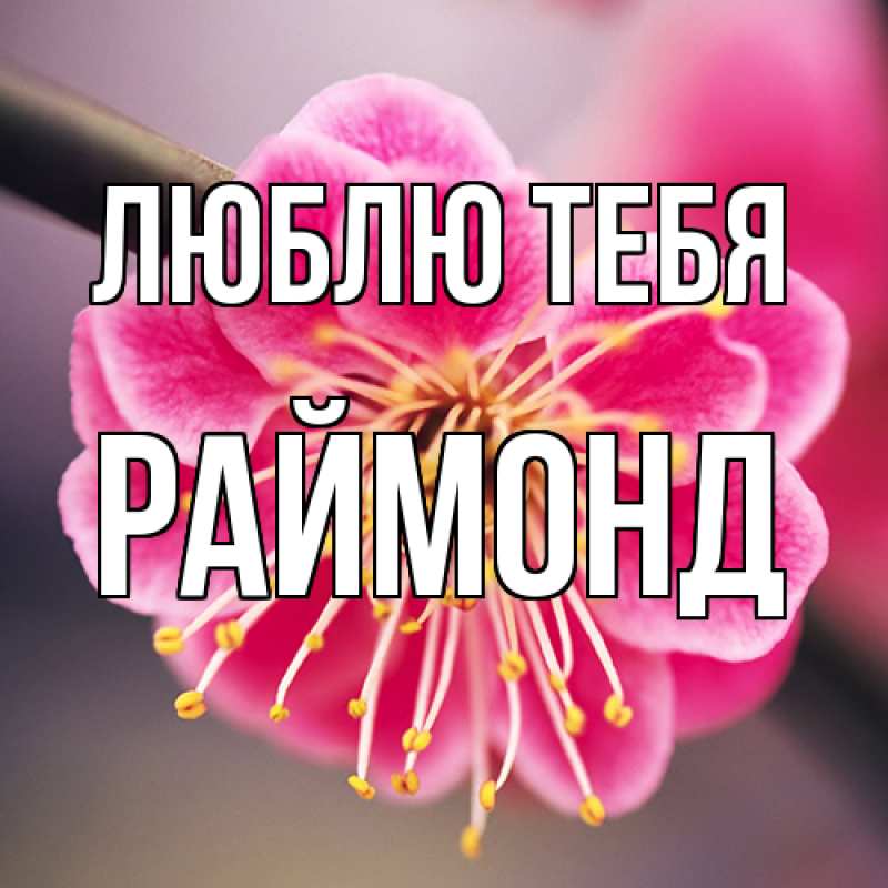 Открытка с именем, Раймонд, Люблю тебя