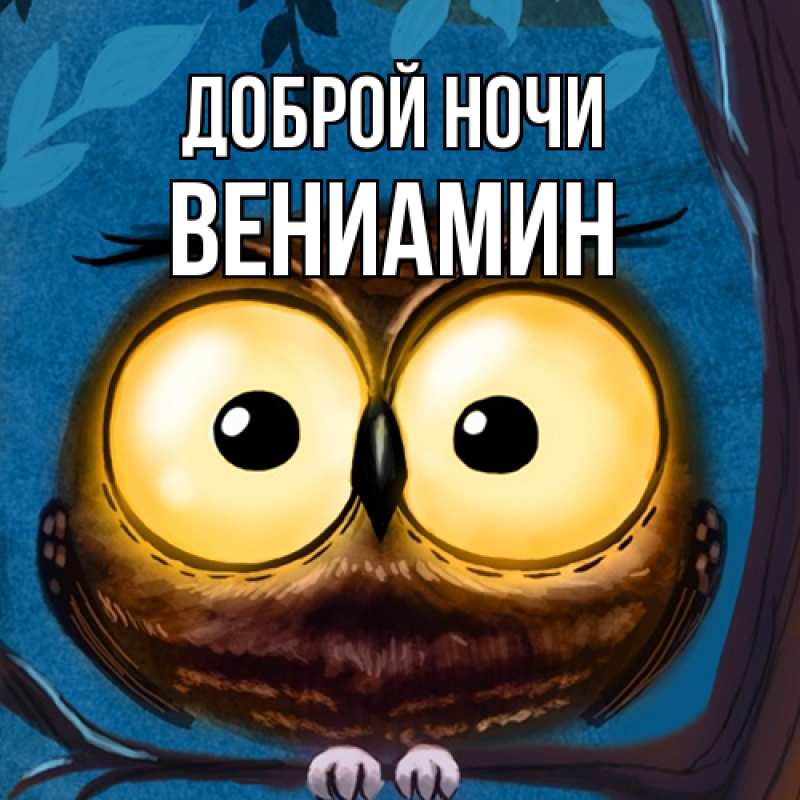 Картинка Доброй ночи, Вениамин