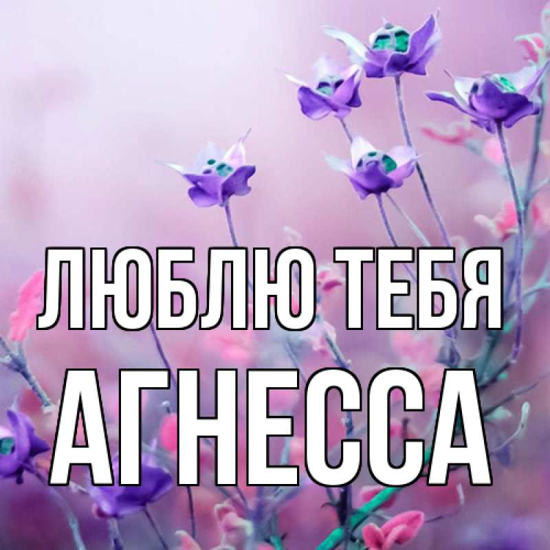 Картинка Люблю тебя, Агнесса