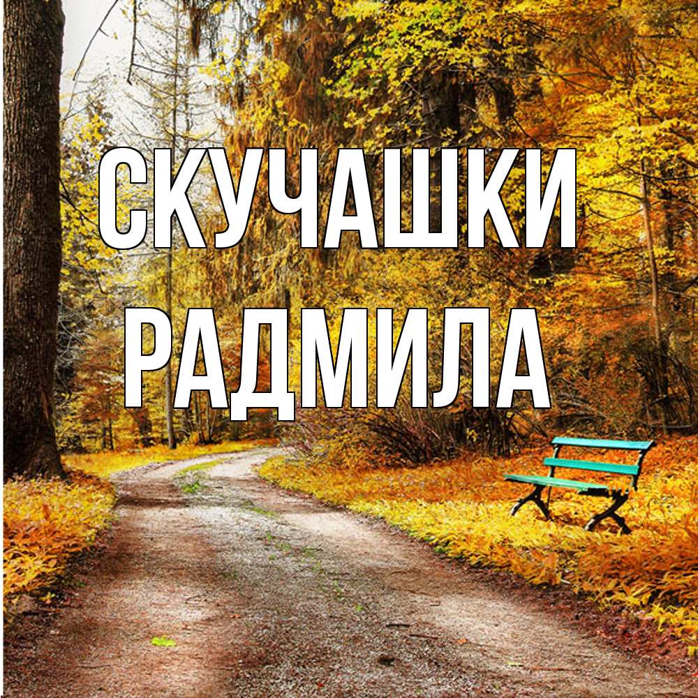 Открытка на каждый день с именем, Радмила Скучашки зеленая лавочка и осенний лес Прикольная открытка с пожеланием онлайн скачать бесплатно 