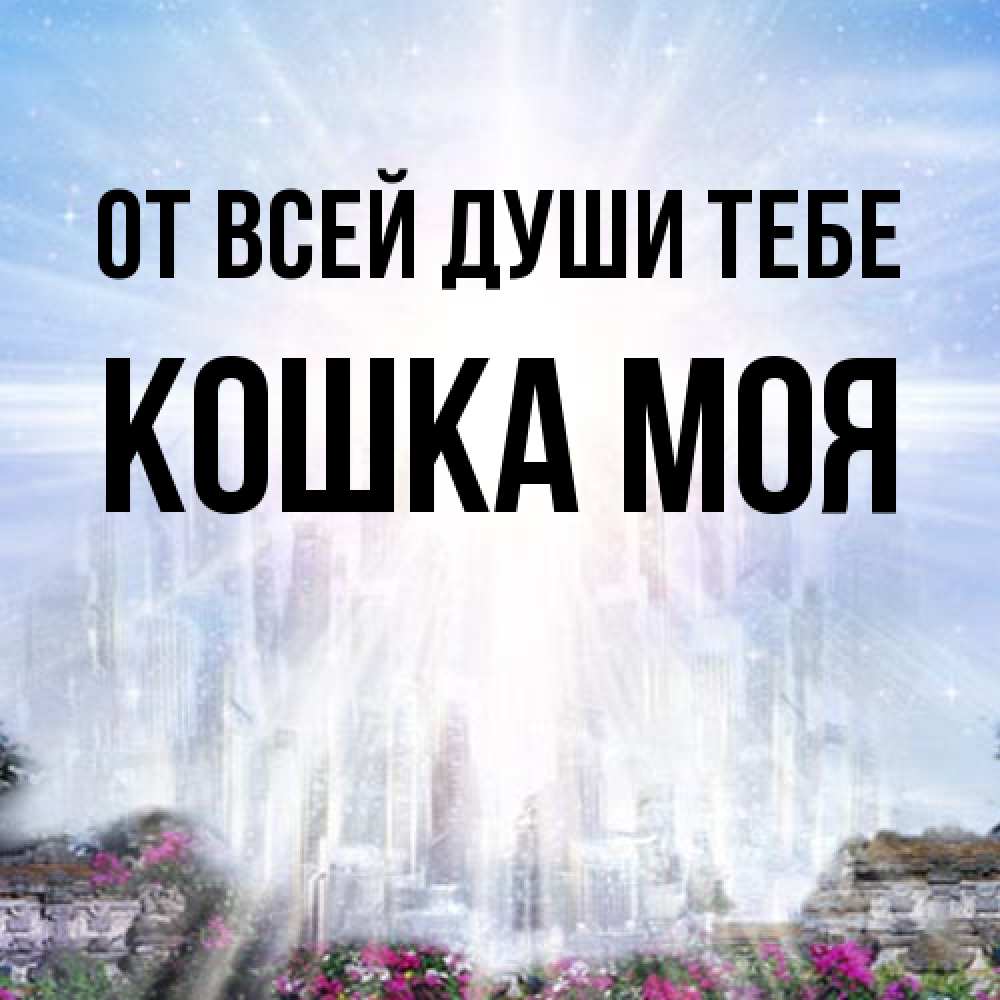 Открытка на каждый день с именем, Кошка-моя От всей души тебе небесный свет Прикольная открытка с пожеланием онлайн скачать бесплатно 