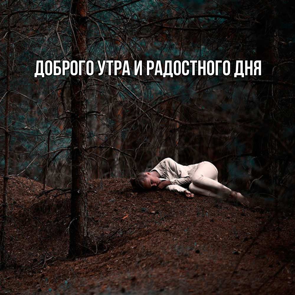 Открытка на каждый день с именем, Ия Не грусти все будет хорошо лес Прикольная открытка с пожеланием онлайн скачать бесплатно 