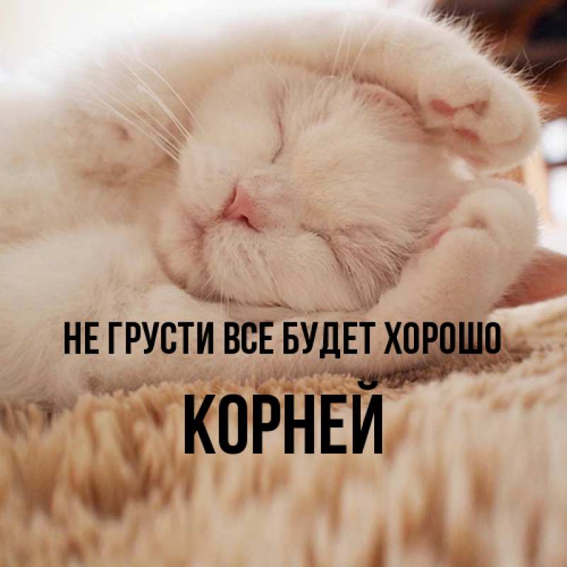 Открытка с именем, Корней, Не грусти все будет хорошо