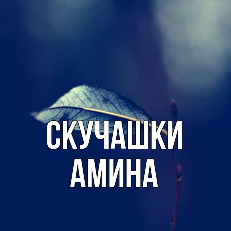 Открытка с именем, Амина, Скучашки
