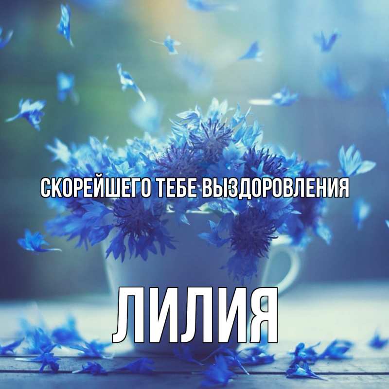Картинка Скорейшего тебе выздоровления, Лилия