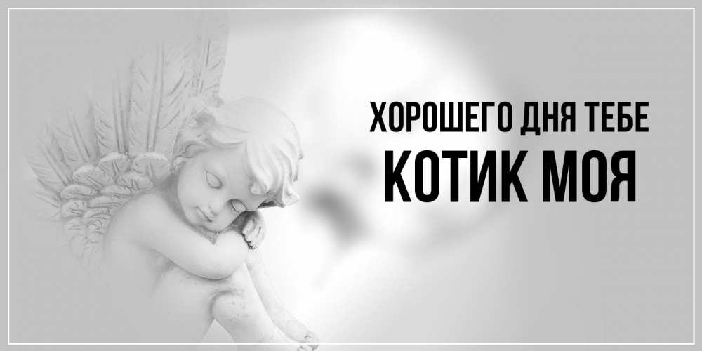 Открытка на каждый день с именем, Котик-моя Хорошего дня тебе ангел Прикольная открытка с пожеланием онлайн скачать бесплатно 