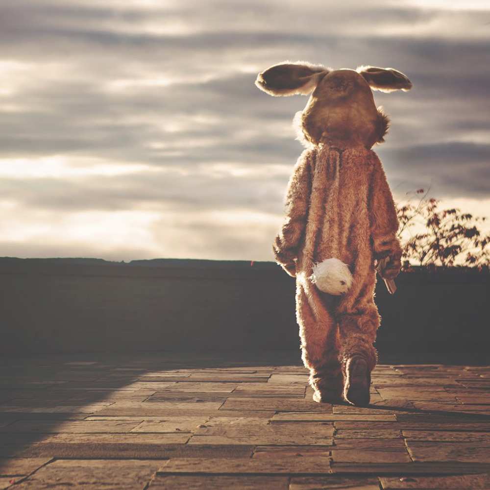 Открытка на каждый день с именем, открытка-бесплатно Скучашки даже в костюме зайца Прикольная открытка с пожеланием онлайн скачать бесплатно 