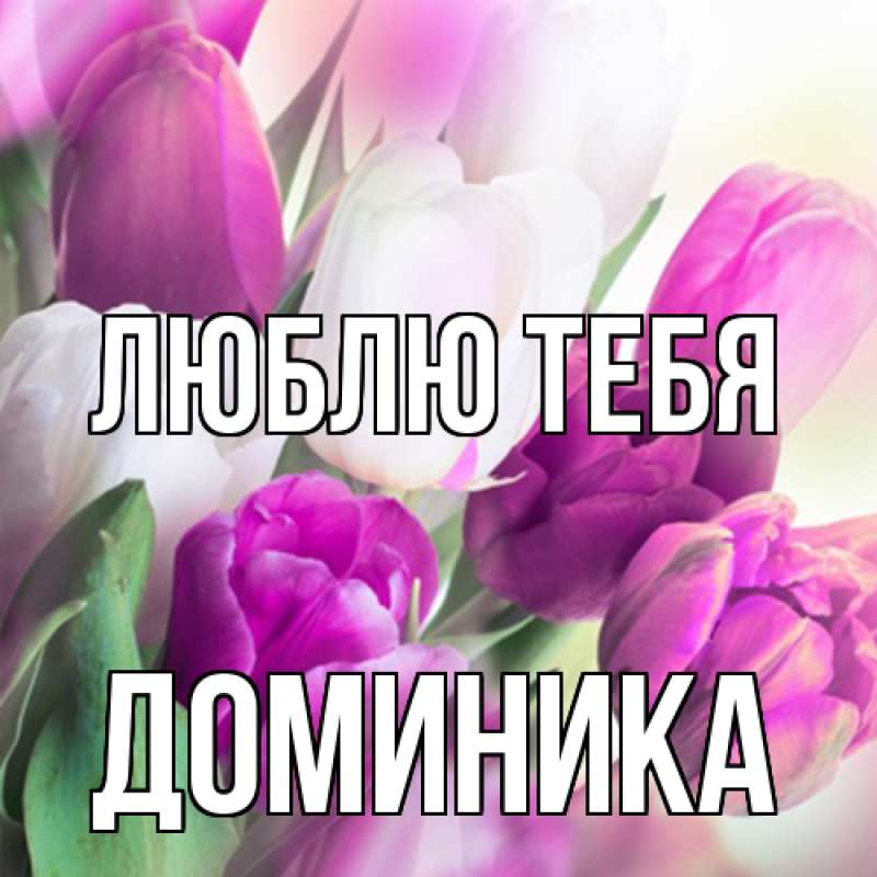 Картинка Люблю тебя, Доминика