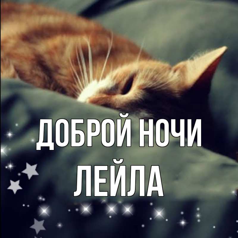 Картинка Доброй ночи, Лейла