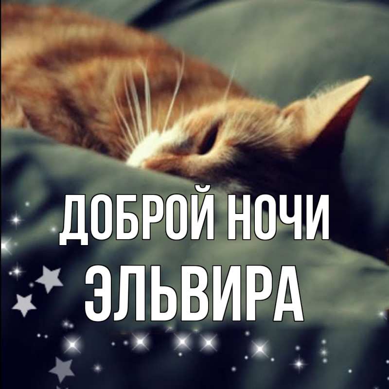 Картинка Доброй ночи, Эльвира