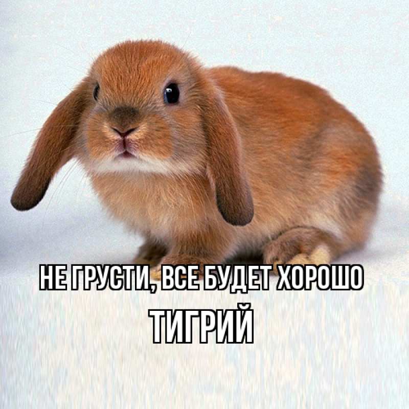 Открытка с именем, Тигрий, Не грусти, все будет хорошо