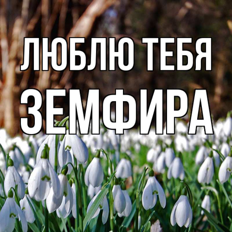 Картинка Люблю тебя, Земфира