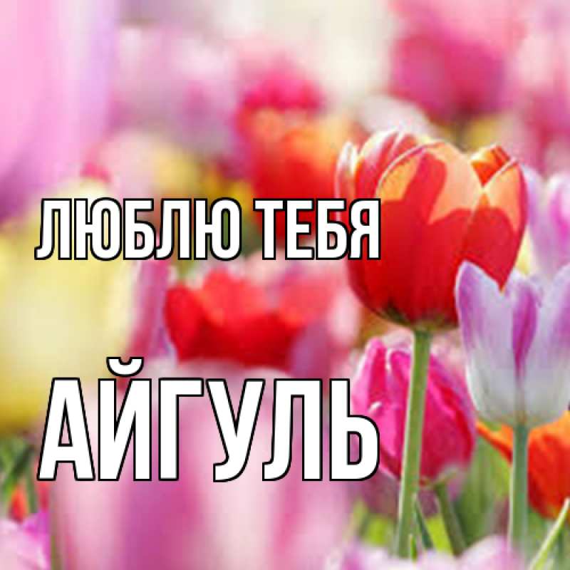 Открытка с именем, Айгуль, Люблю тебя